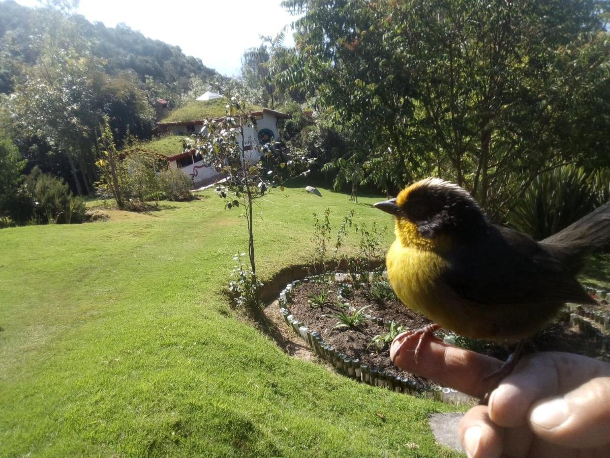 Jardin Colibri Rnt 33633 Villa Guatavita Luaran gambar