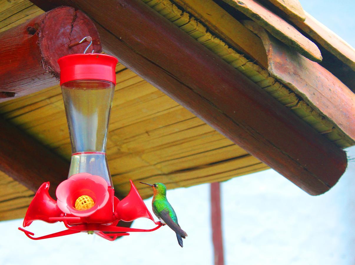Jardin Colibri Rnt 33633 Villa Guatavita Luaran gambar