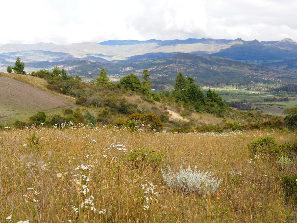 Jardin Colibri Rnt 33633 Villa Guatavita Luaran gambar